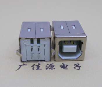 武汉USB BF180度母座 打印机接口 立式直插带赛