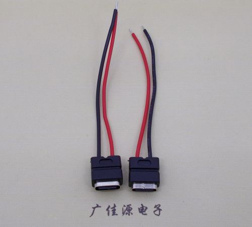 武汉type c2p防水母座焊线式带线注塑成型带接线端子/不带接线端子充电连接器